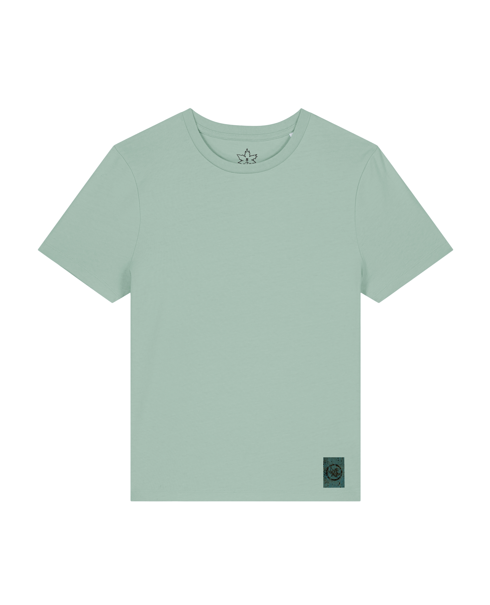 bio-female-fitted-tshirt-basic-sttw174-eukalyptus-front