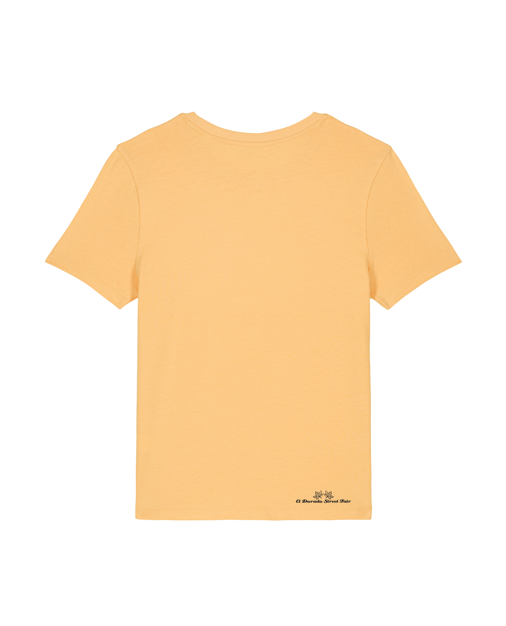 bio-female-fitted-tshirt-basic-sttw174-senfkorn-back