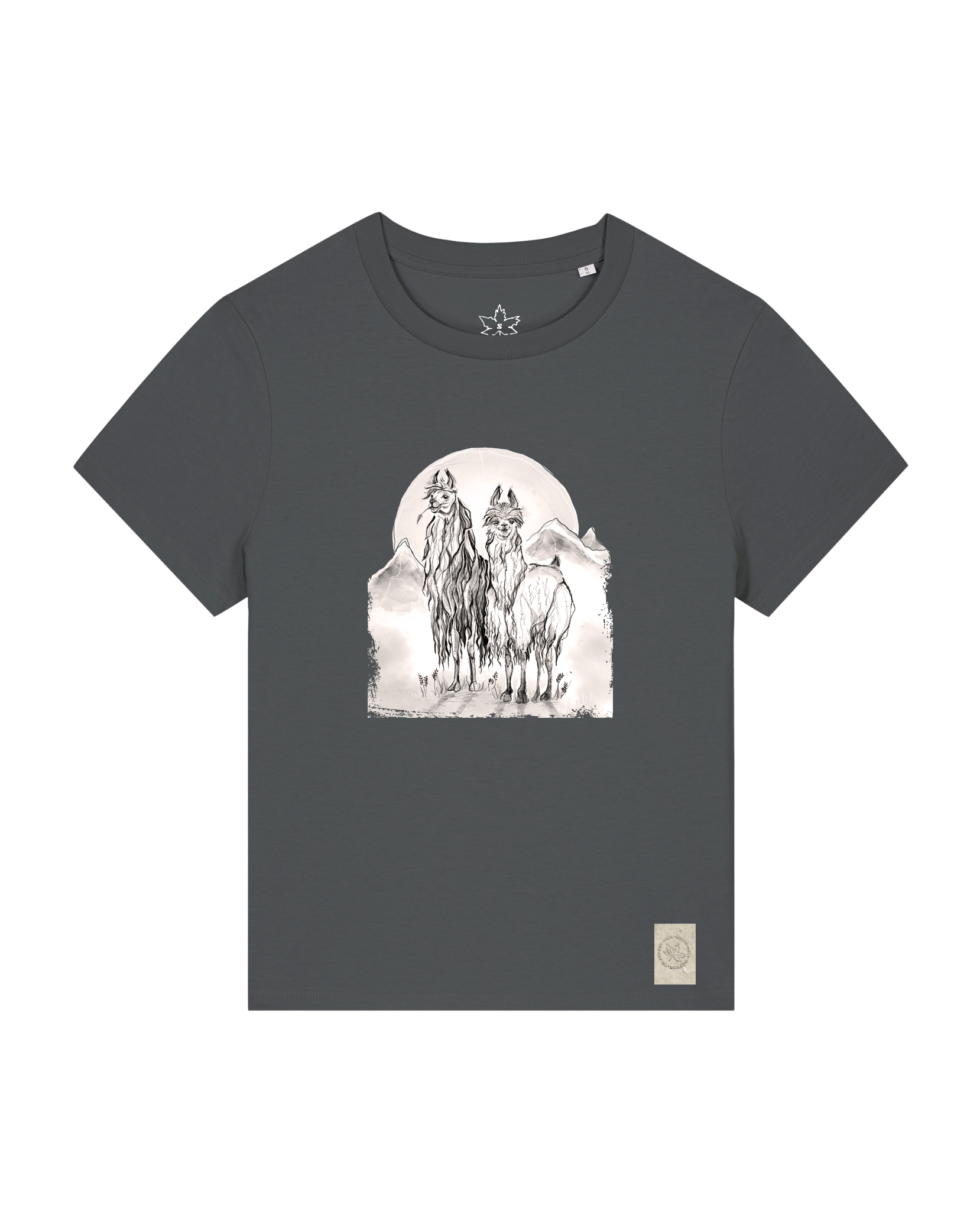 bio-female-medium fit-tshirt-alpaka-sttw172-eisen-front