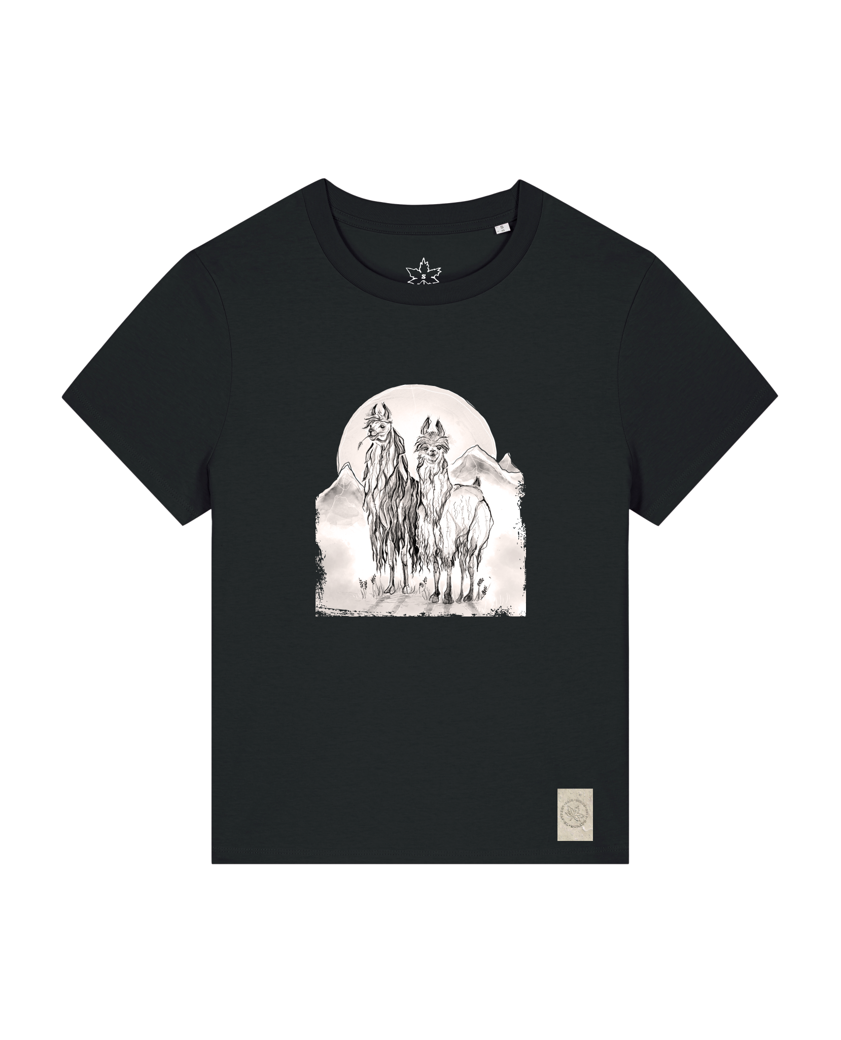 bio-female-medium fit-tshirt-alpaka-sttw172-schwarz-front