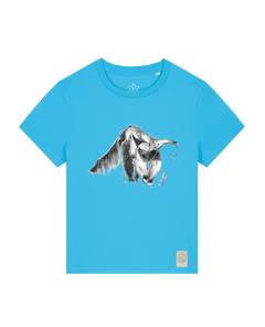 bio-female-medium fit-tshirt-ameisenbär-sttw172-wasserblau-front