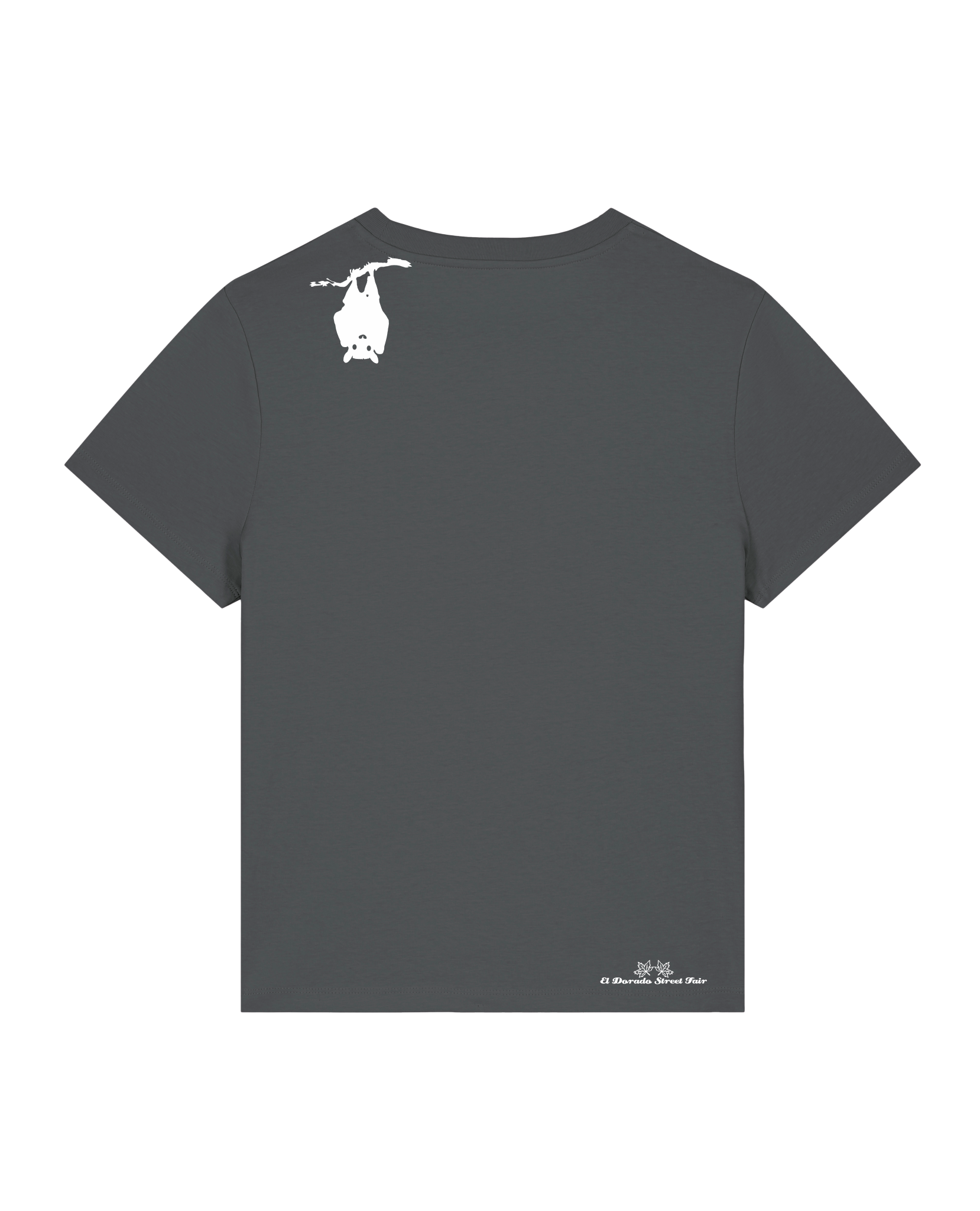 bio-female-medium fit-tshirt-blinded by the light-sttw172-eisen-back