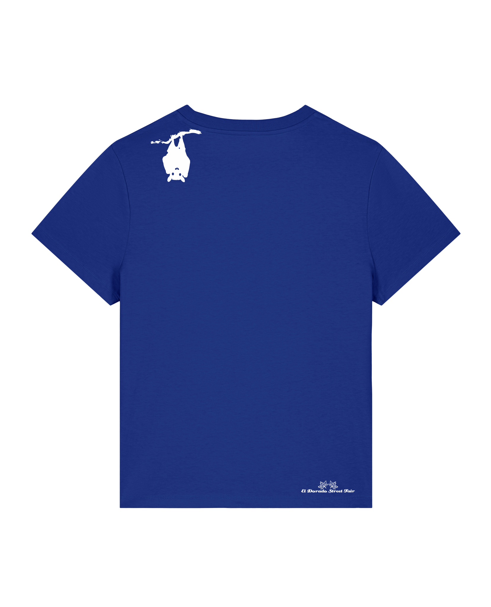 bio-female-medium fit-tshirt-blinded by the light-sttw172-kornblume-back