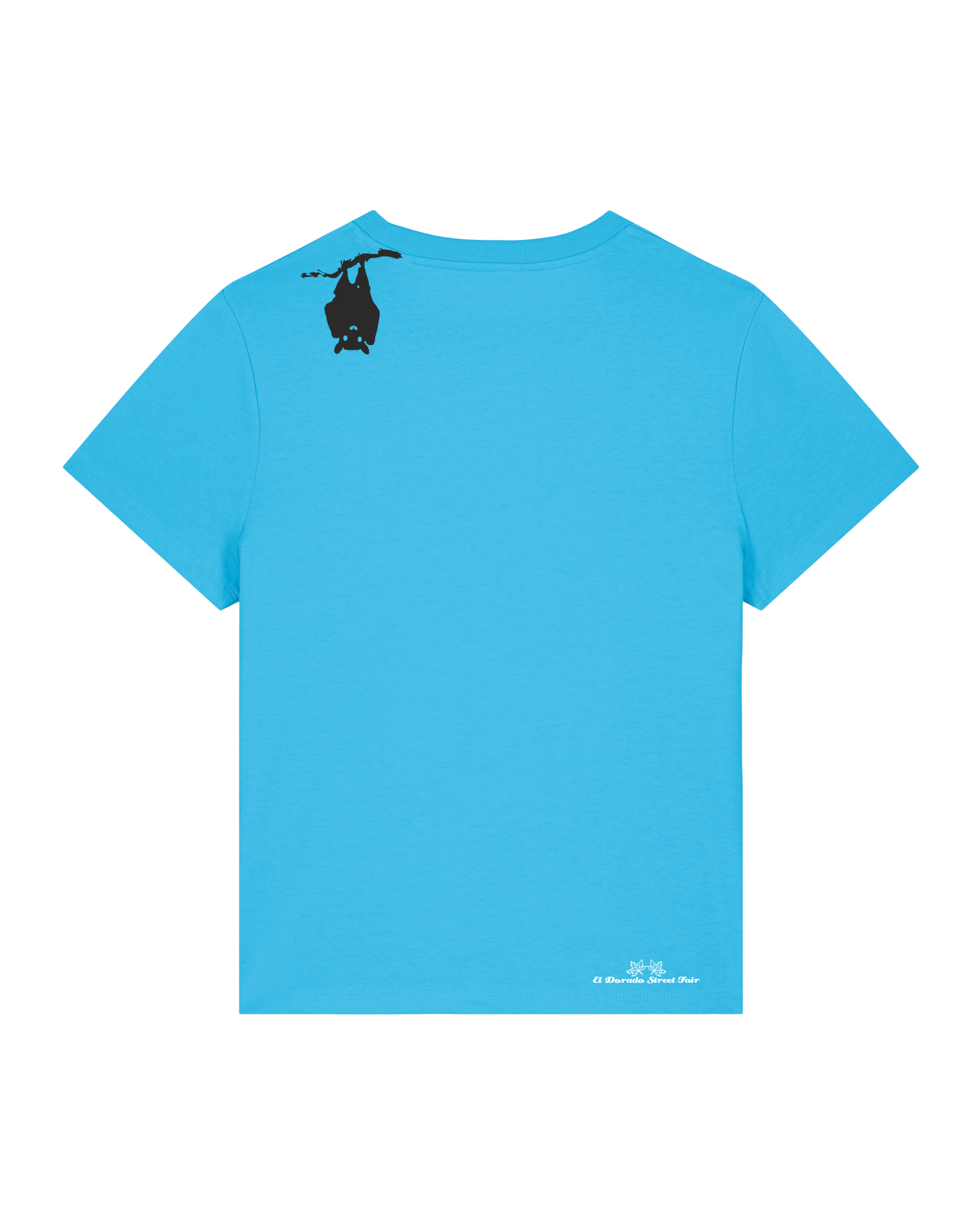 bio-female-medium fit-tshirt-blinded by the light-sttw172-wasserblau-back