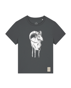 bio-female-medium fit-tshirt-ibex-sttw172-eisen-front
