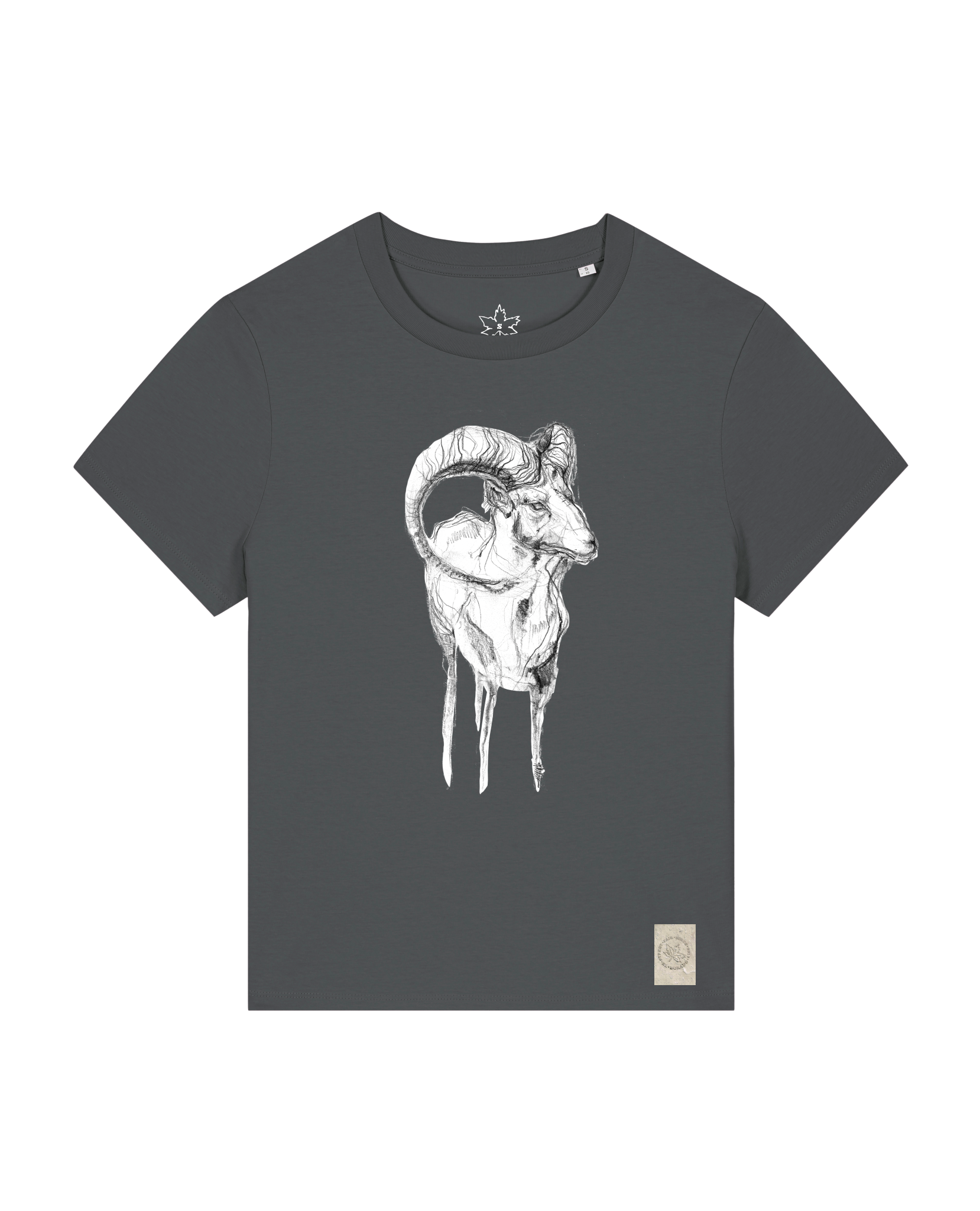 bio-female-medium fit-tshirt-ibex-sttw172-eisen-front