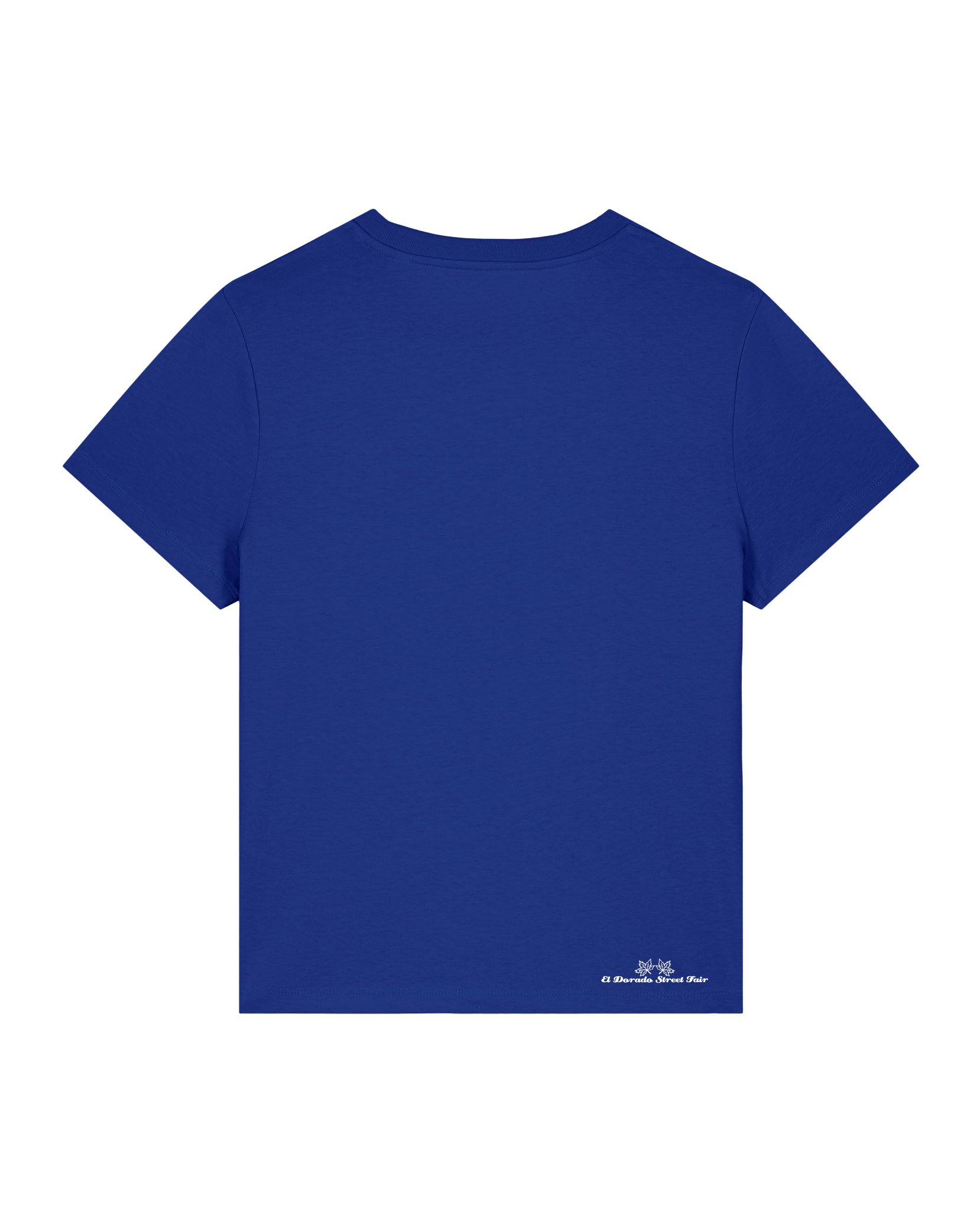 bio-female-medium fit-tshirt-kühe-sttw172-kornblume-back