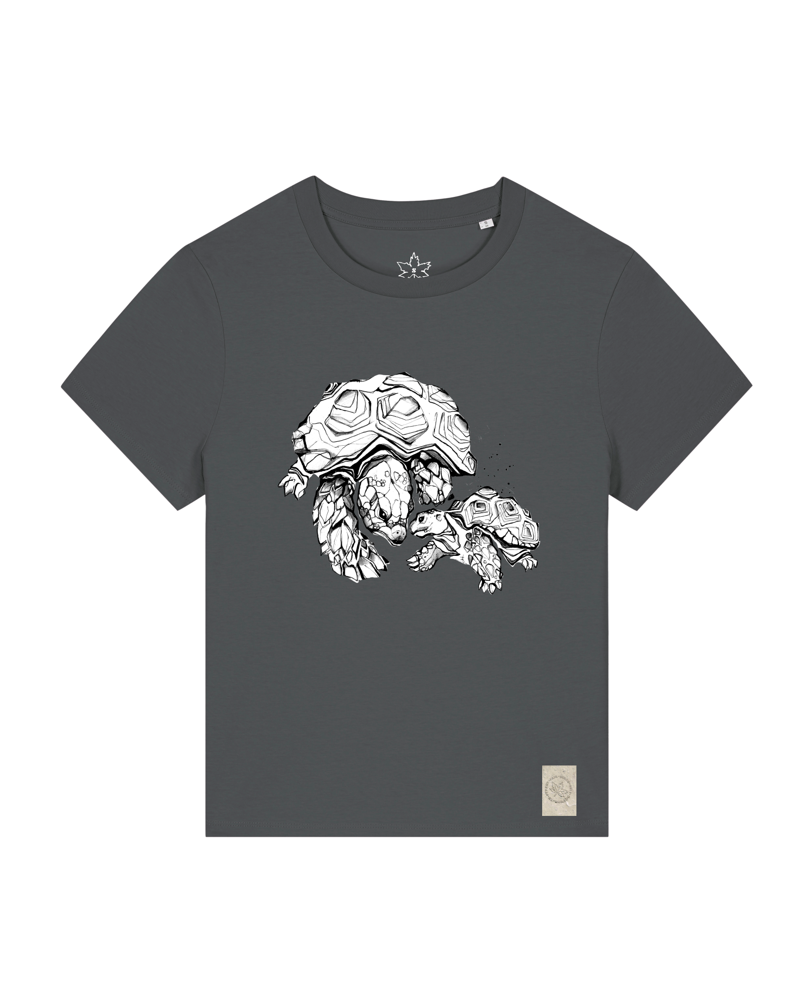bio-female-medium fit-tshirt-schildkrötis-sttw172-eisen-front