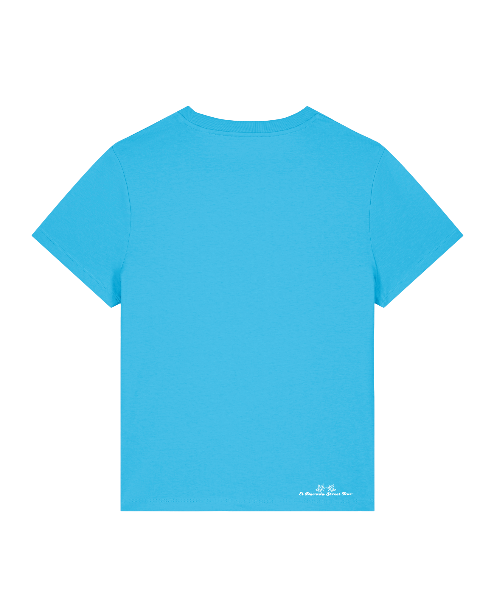 bio-female-medium fit-tshirt-solenodon-sttw172-wasserblau-back