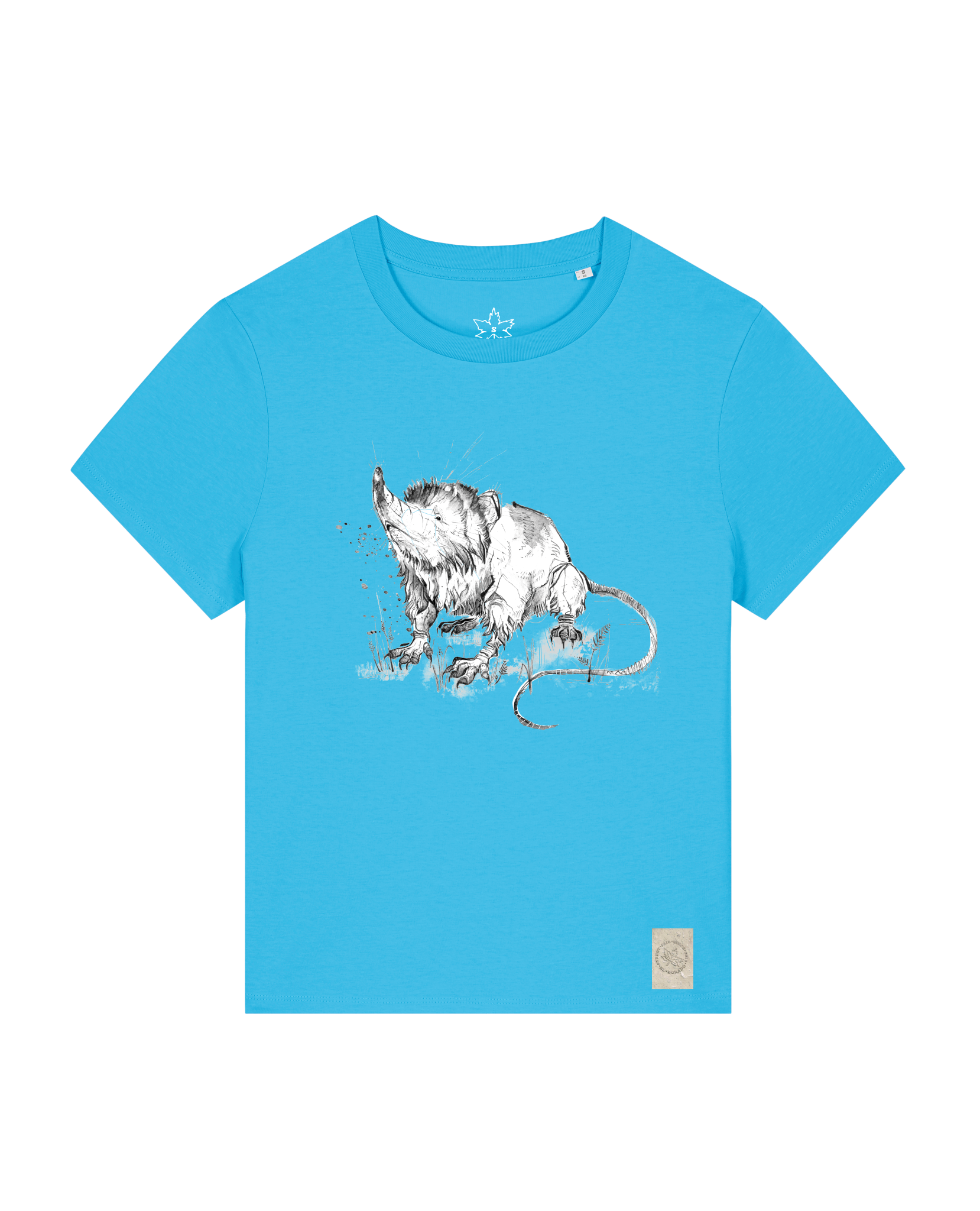 bio-female-medium fit-tshirt-solenodon-sttw172-wasserblau-front