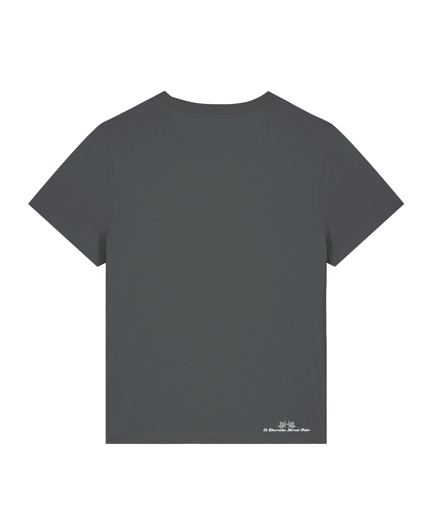 bio-female-medium fit-tshirt-study crowd-sttw172-eisen-back
