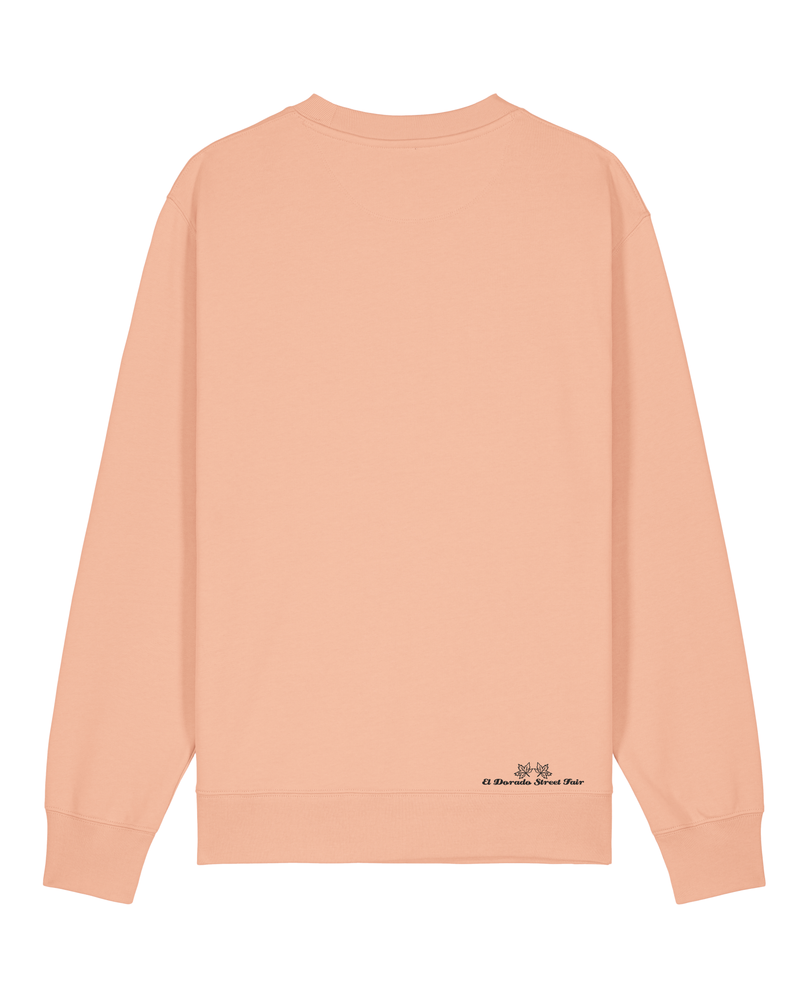 bio-unisex-medium fit-crewnecks-basic-stsu178-agyptische keramik-back