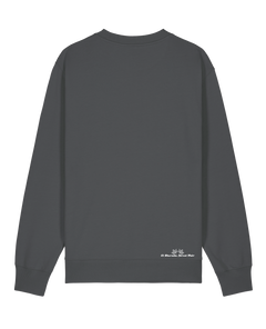 bio-unisex-medium fit-crewnecks-basic-stsu178-eisen-back