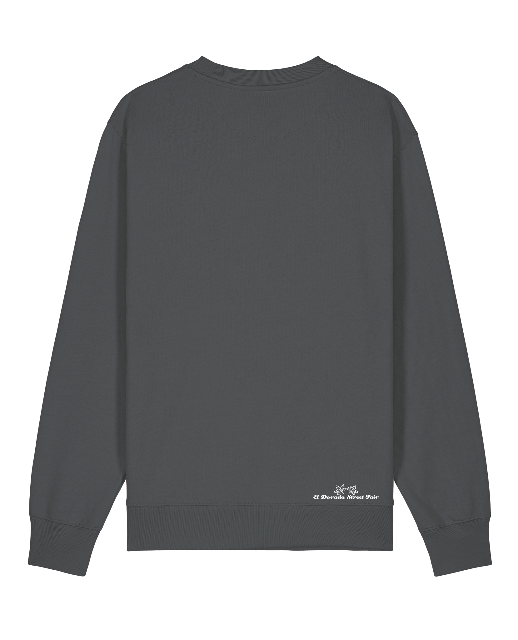 bio-unisex-medium fit-crewnecks-basic-stsu178-eisen-back