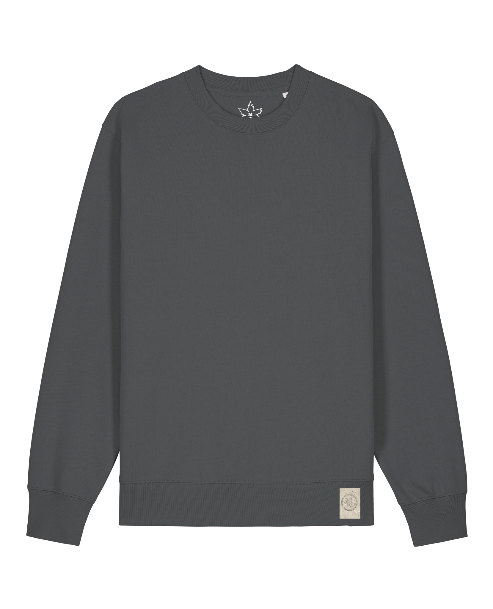 bio-unisex-medium fit-crewnecks-basic-stsu178-eisen-front