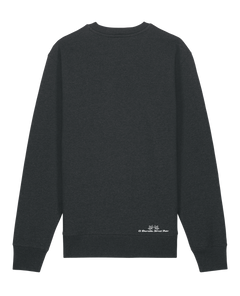 bio-unisex-medium fit-crewnecks-basic-stsu178-elephant-back
