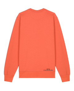 bio-unisex-medium fit-crewnecks-basic-stsu178-mandarine-back