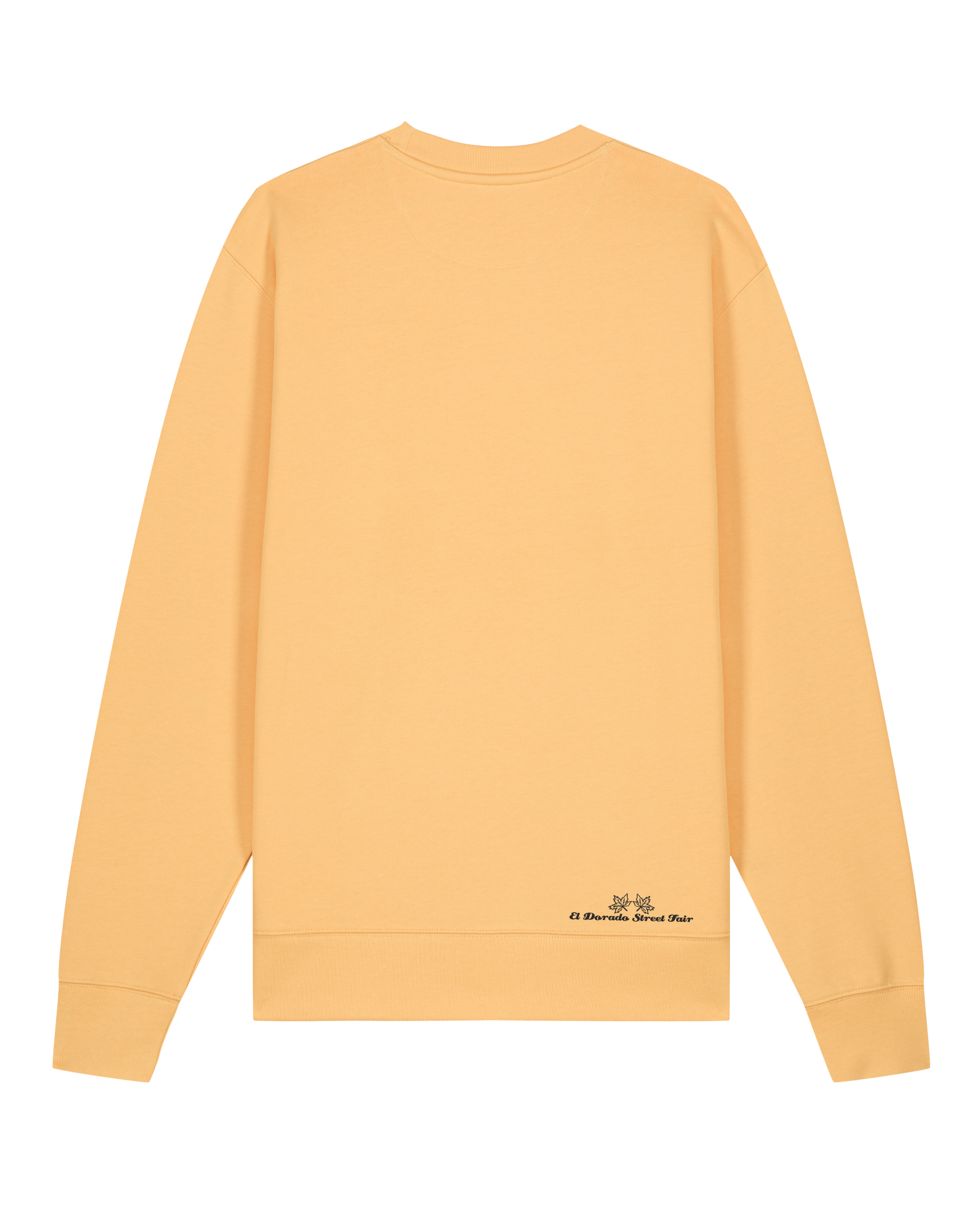 bio-unisex-medium fit-crewnecks-basic-stsu178-senfkorn-back