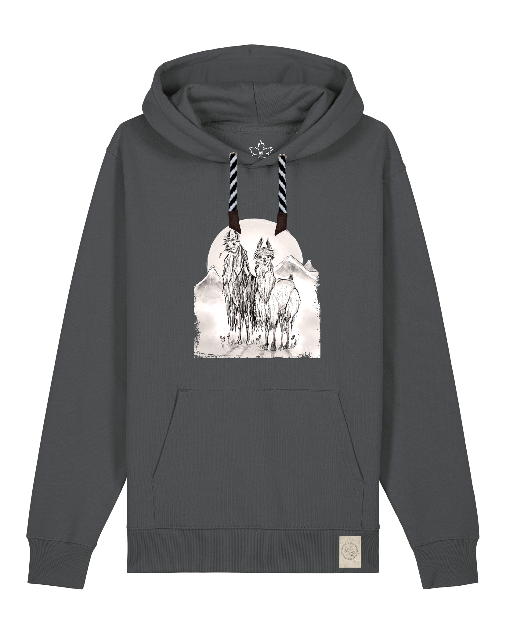 bio-unisex-medium fit-hoodie-alpaka-stsu177-eisen-sw kordel-front