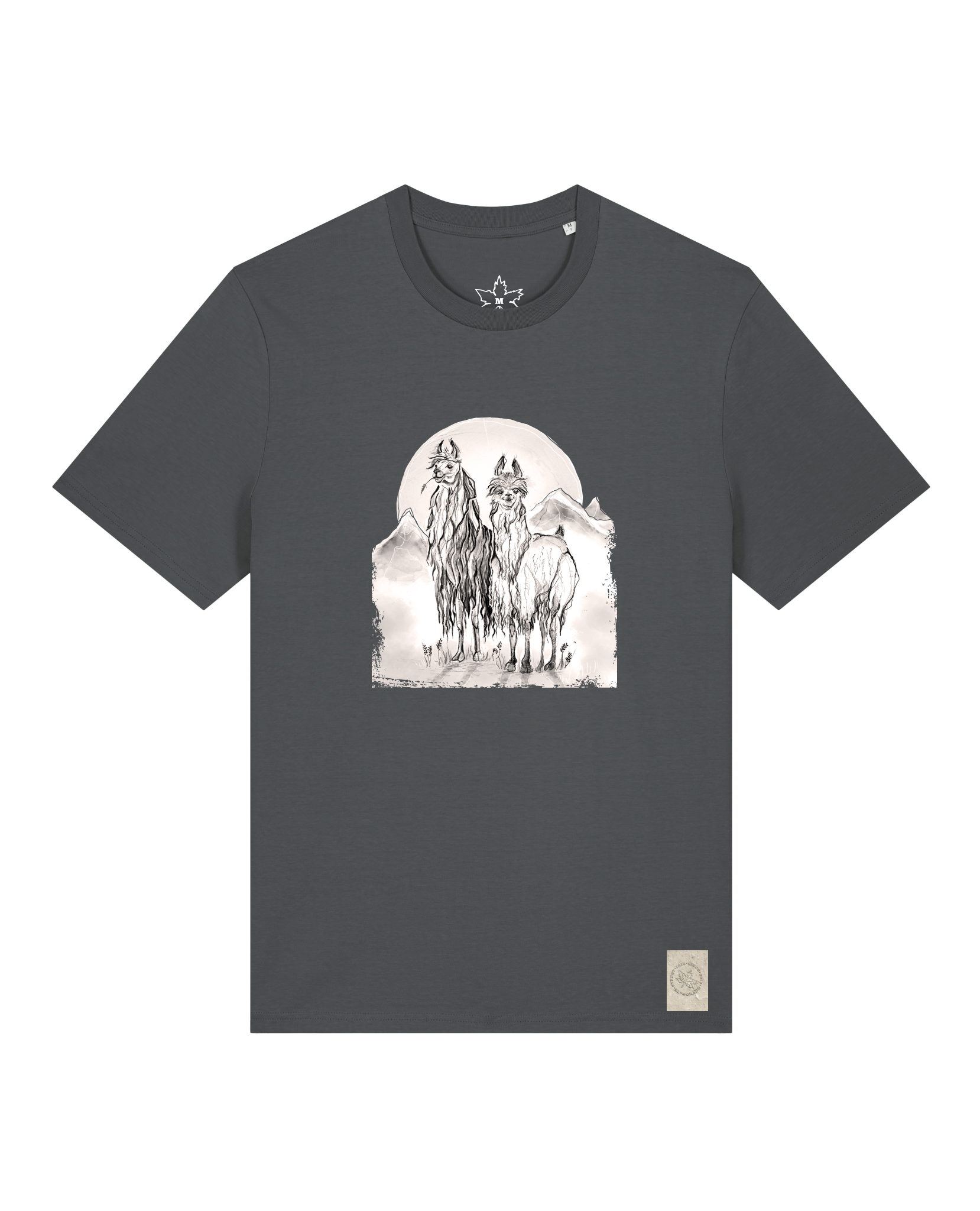 bio-unisex-medium fit-tshirt-alpaka-sttu169-eisen-front