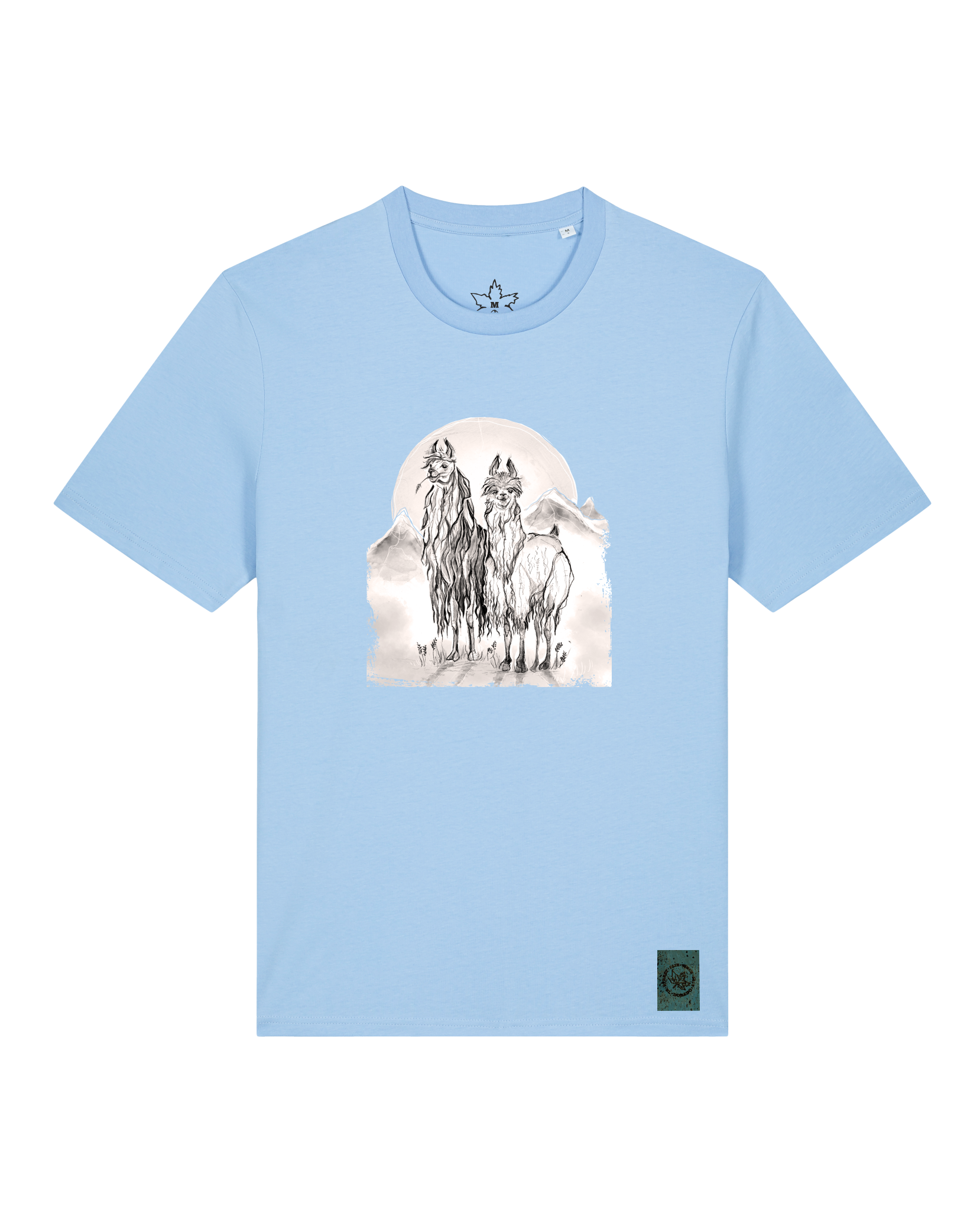 bio-unisex-medium fit-tshirt-alpaka-sttu169-lagune-front