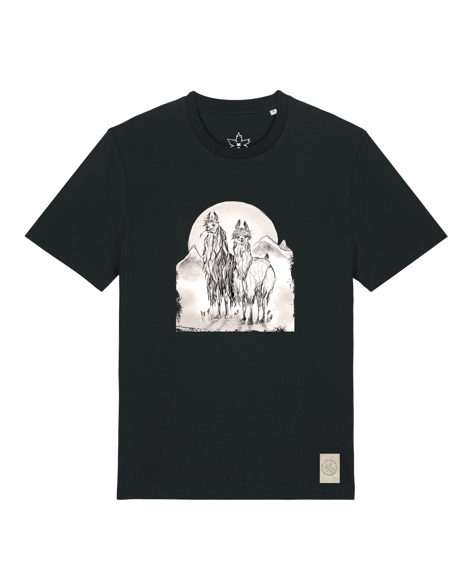 bio-unisex-medium fit-tshirt-alpaka-sttu169-schwarz-front
