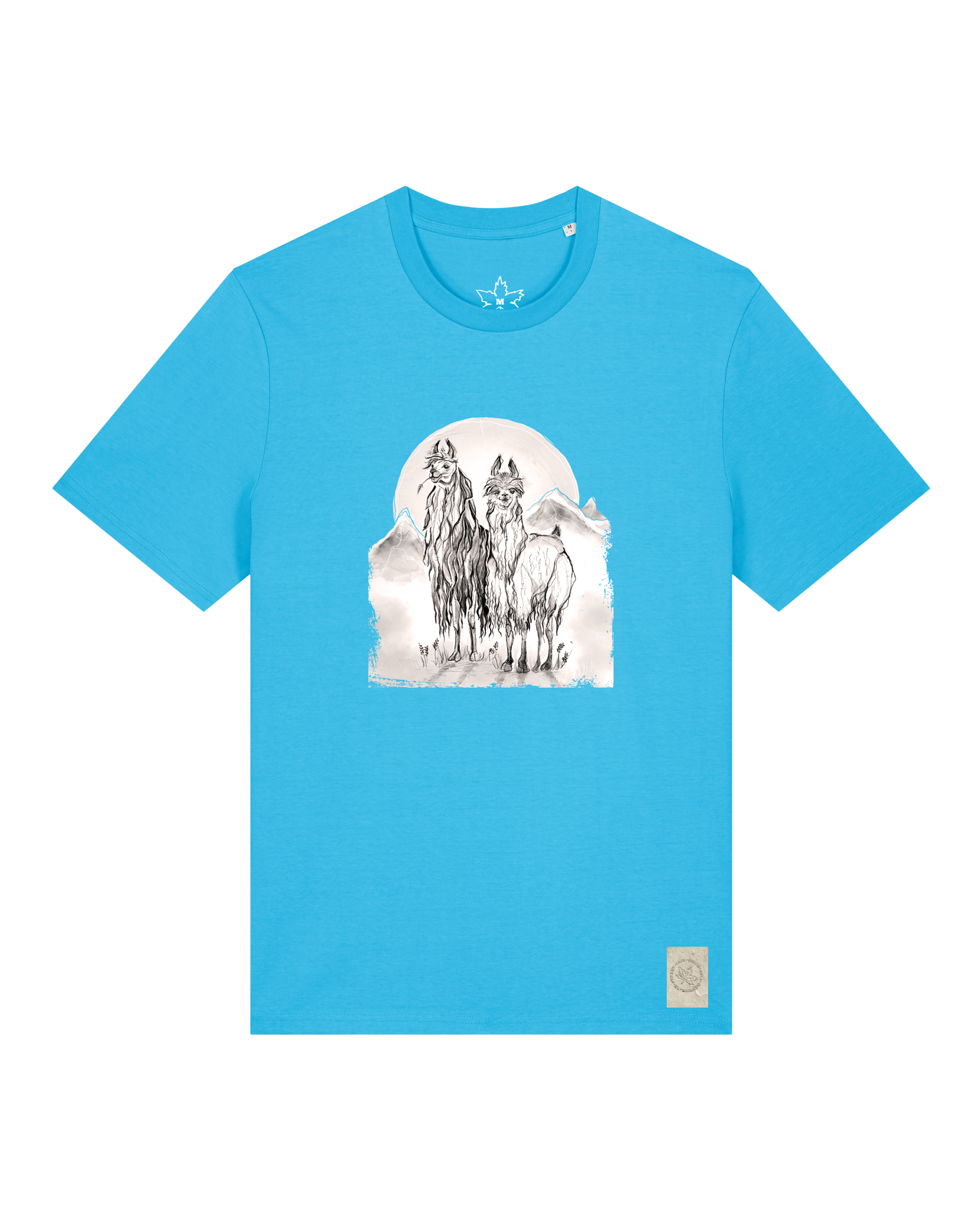 bio-unisex-medium fit-tshirt-alpaka-sttu169-wasserblau-front