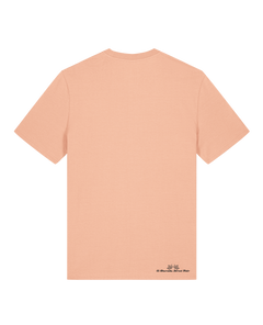 bio-unisex-medium fit-tshirt-basic-sttu169-agyptische keramik-back