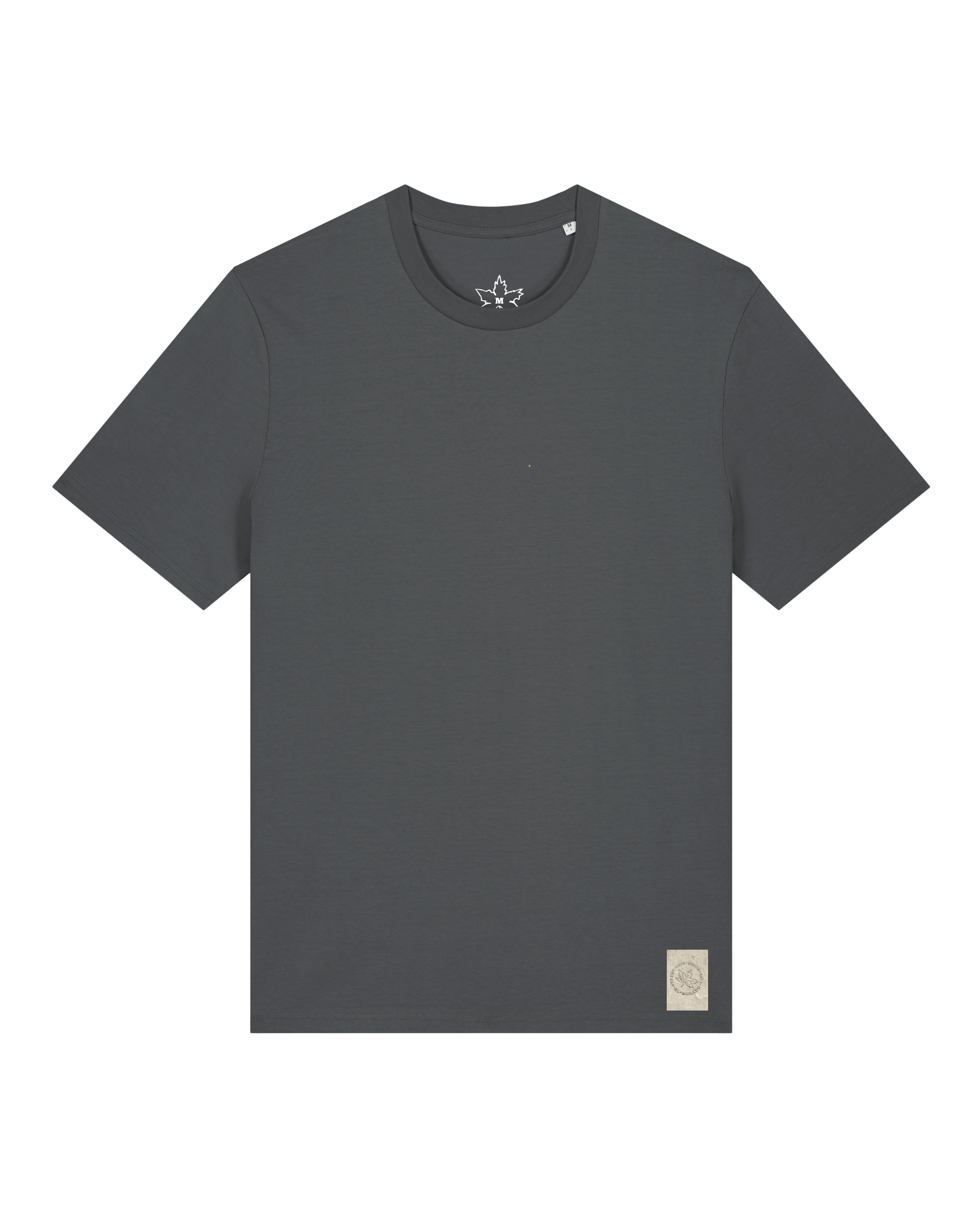 bio-unisex-medium fit-tshirt-basic-sttu169-eisen-front