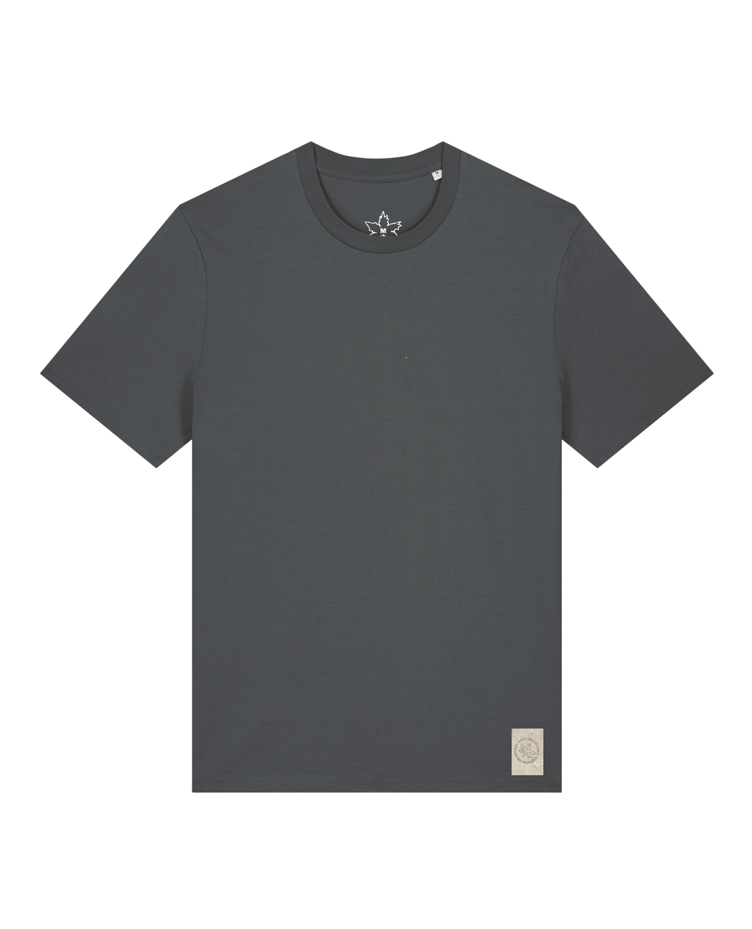 bio-unisex-medium fit-tshirt-basic-sttu169-eisen-front