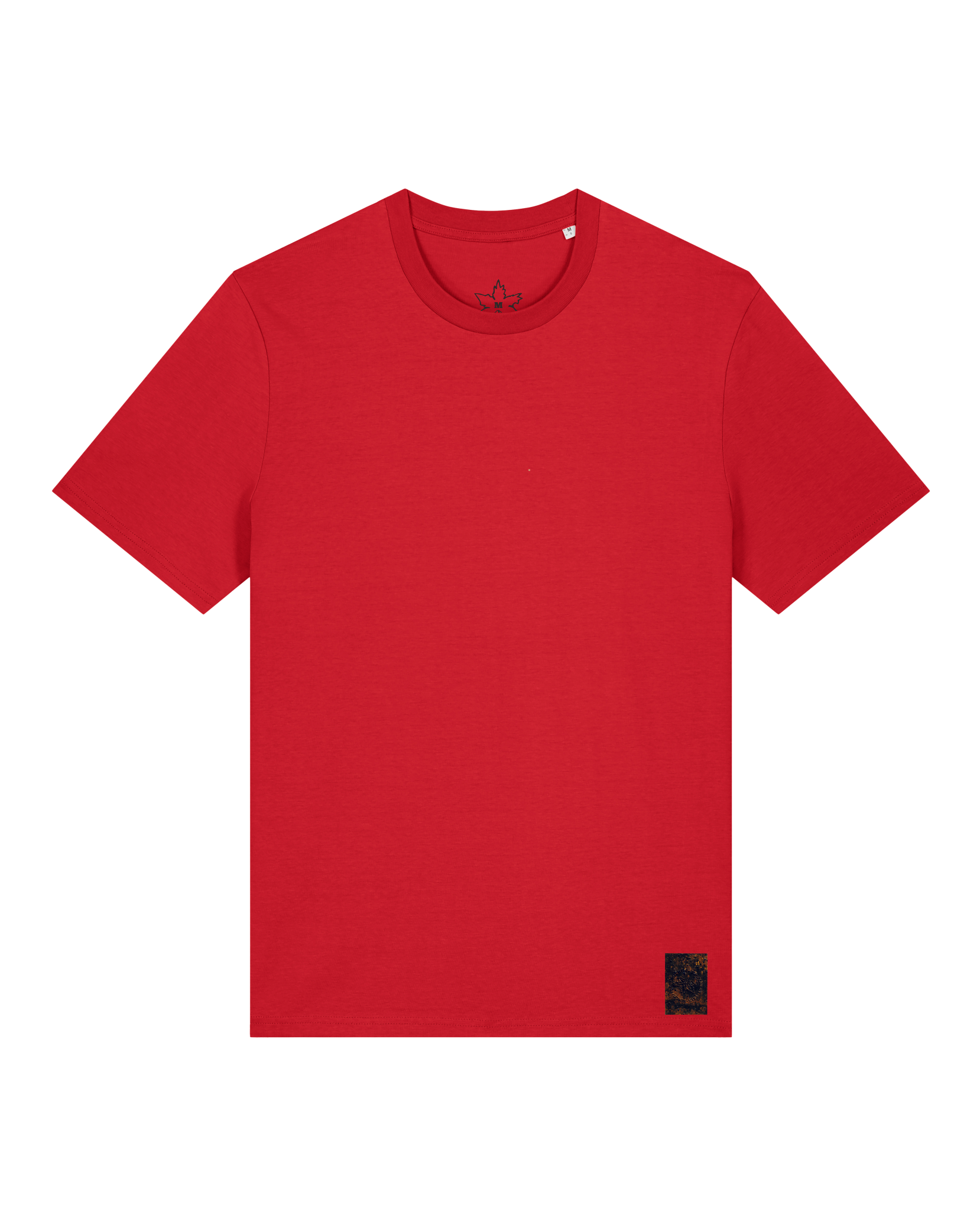 bio-unisex-medium fit-tshirt-basic-sttu169-erdbeere-front
