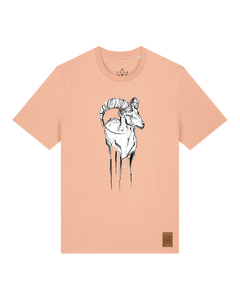 bio-unisex-medium fit-tshirt-ibex-sttu169-agyptische keramik-front