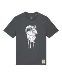 bio-unisex-medium fit-tshirt-ibex-sttu169-eisen-front
