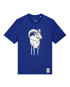 bio-unisex-medium fit-tshirt-ibex-sttu169-kornblume-front