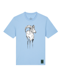 bio-unisex-medium fit-tshirt-ibex-sttu169-lagune-front
