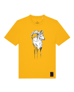bio-unisex-medium fit-tshirt-ibex-sttu169-sonnenblume-front
