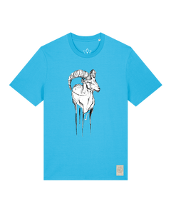 bio-unisex-medium fit-tshirt-ibex-sttu169-wasserblau-front