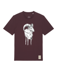 bio-unisex-medium fit-tshirt-ibex-sttu169-zartbitter-front