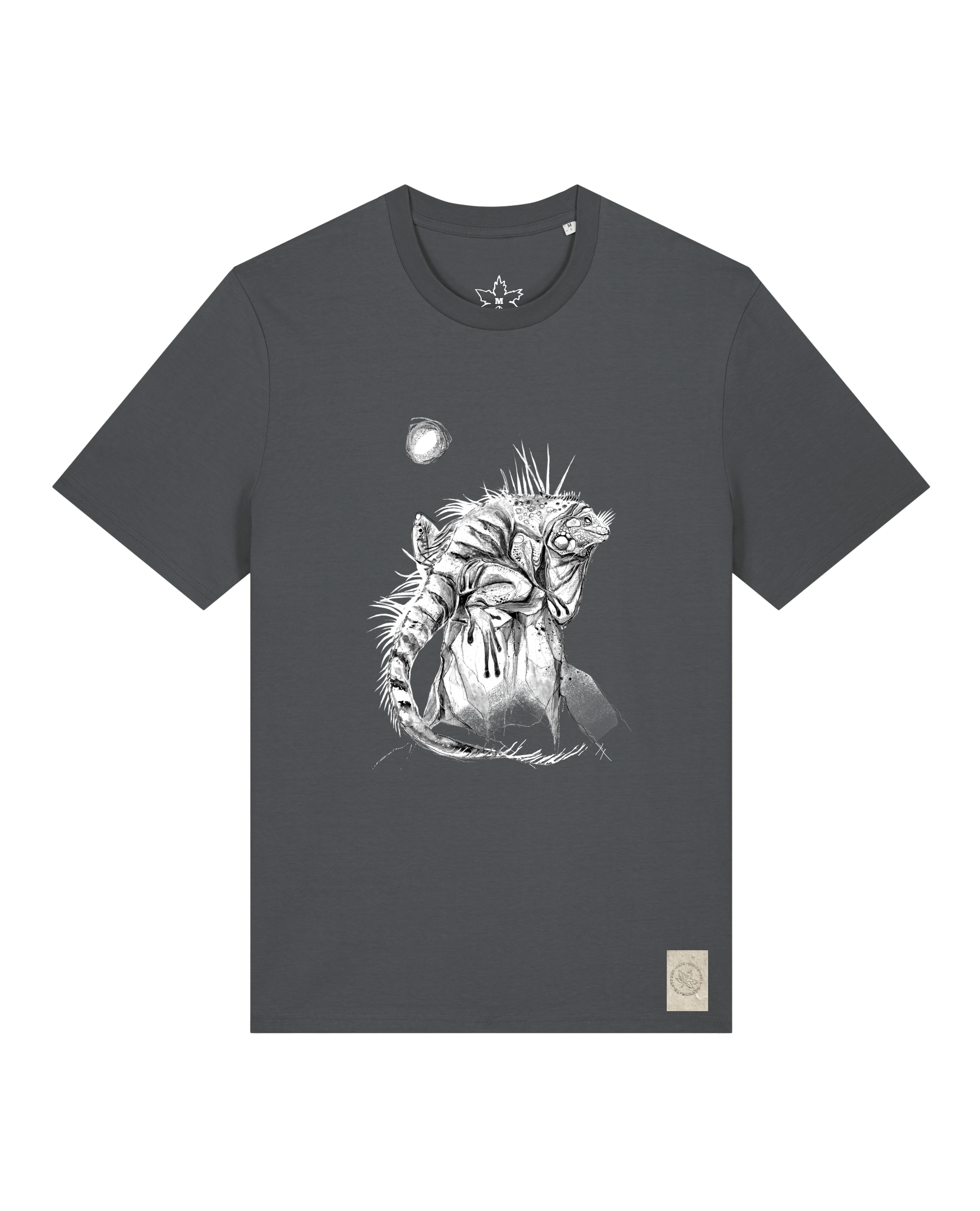 bio-unisex-medium fit-tshirt-iguana-sttu169-eisen-front