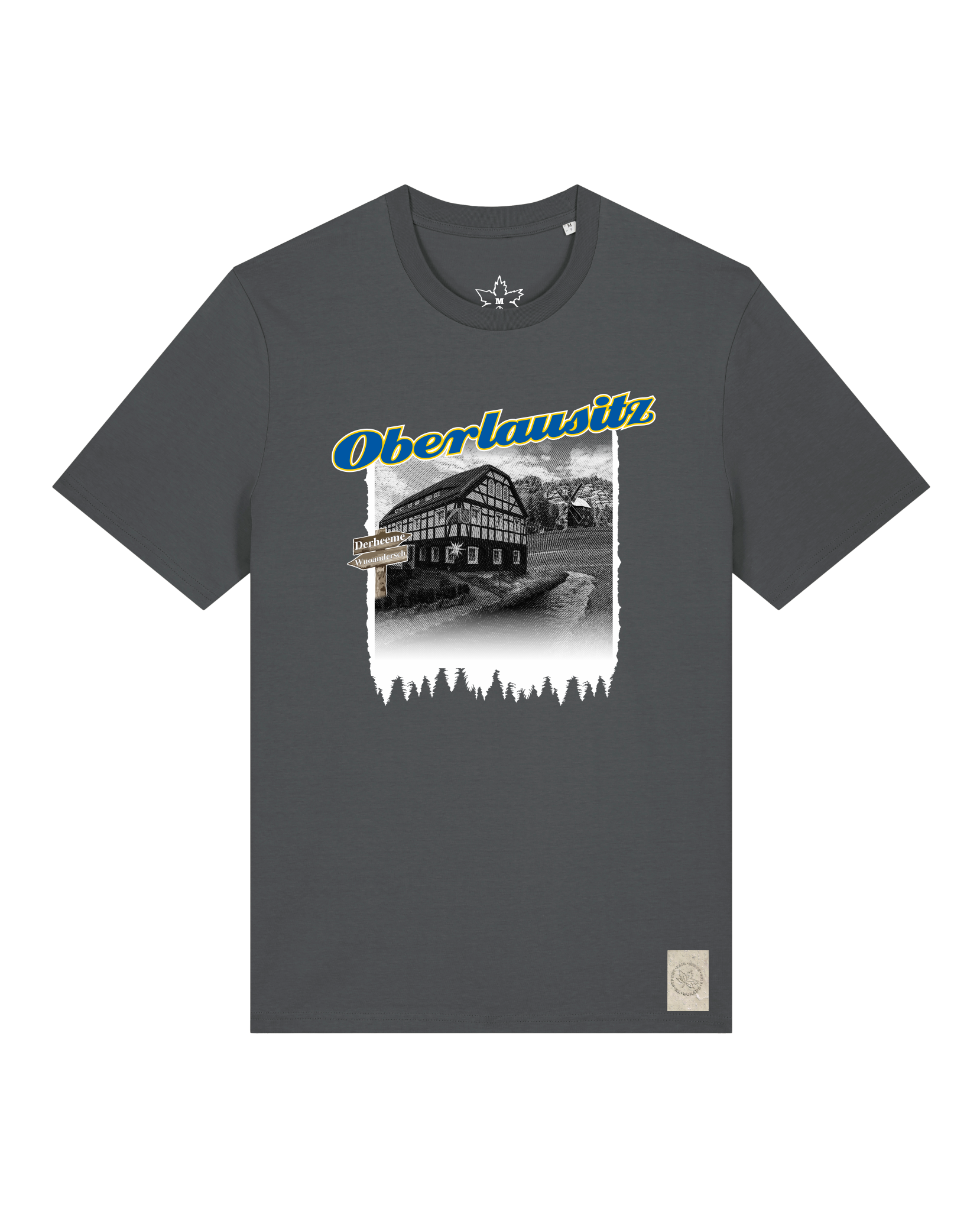 bio-unisex-medium fit-tshirt-oberlausitz-sttu169-eisen-front