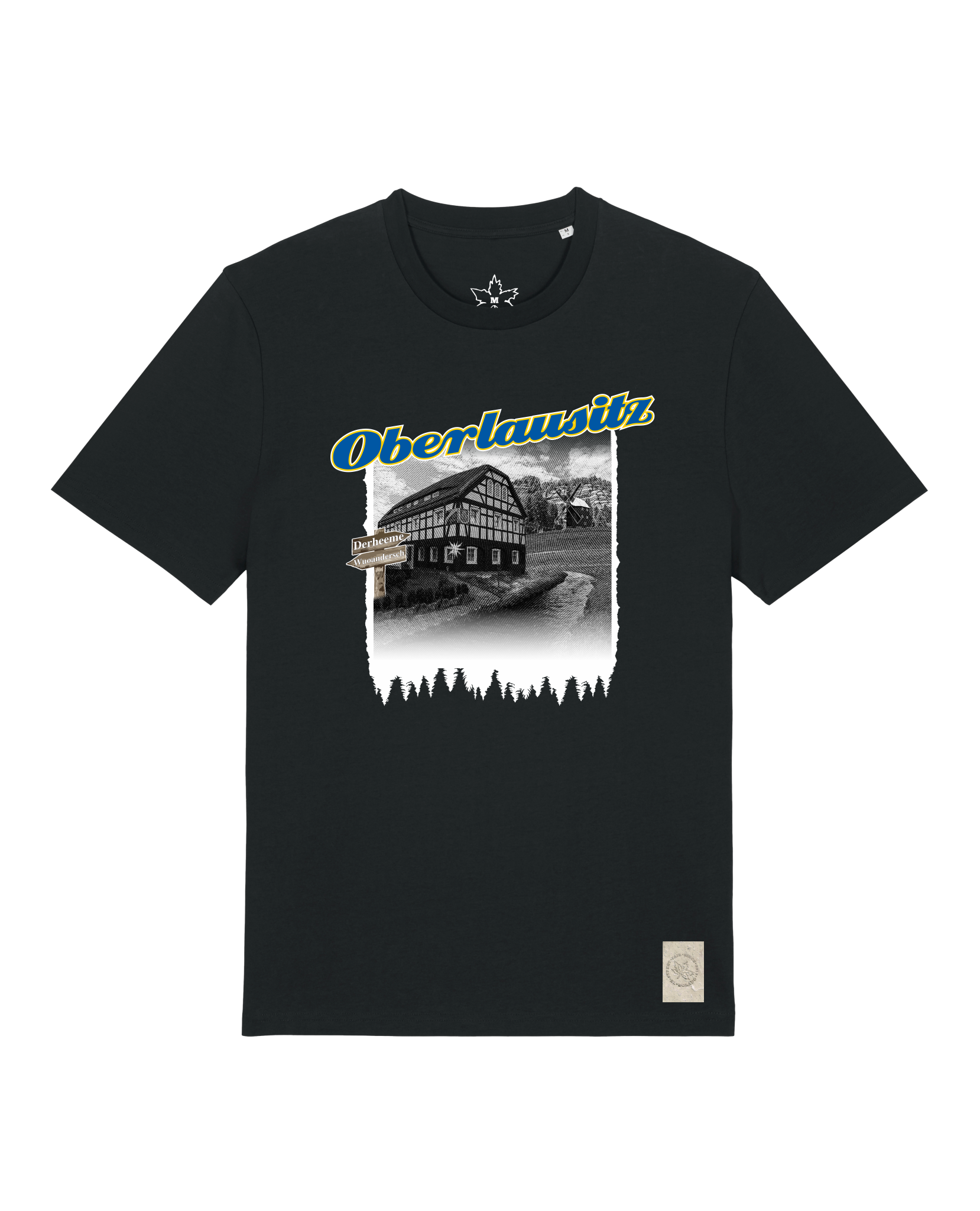 bio-unisex-medium fit-tshirt-oberlausitz-sttu169-schwarz-front