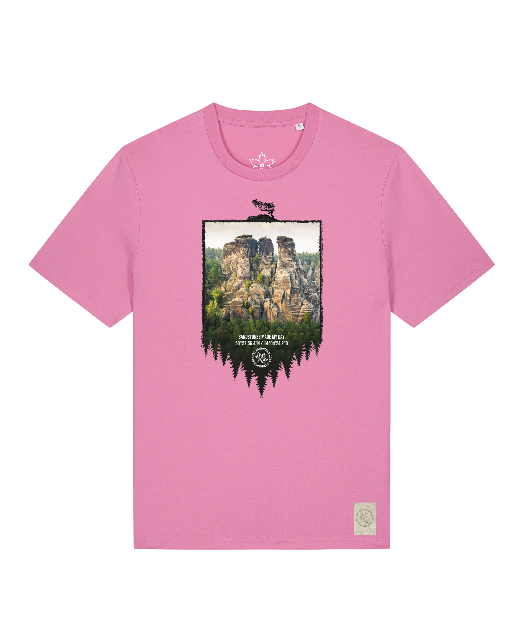 bio-unisex-medium fit-tshirt-sächsische schweiz-sttu169-kaugummi-front