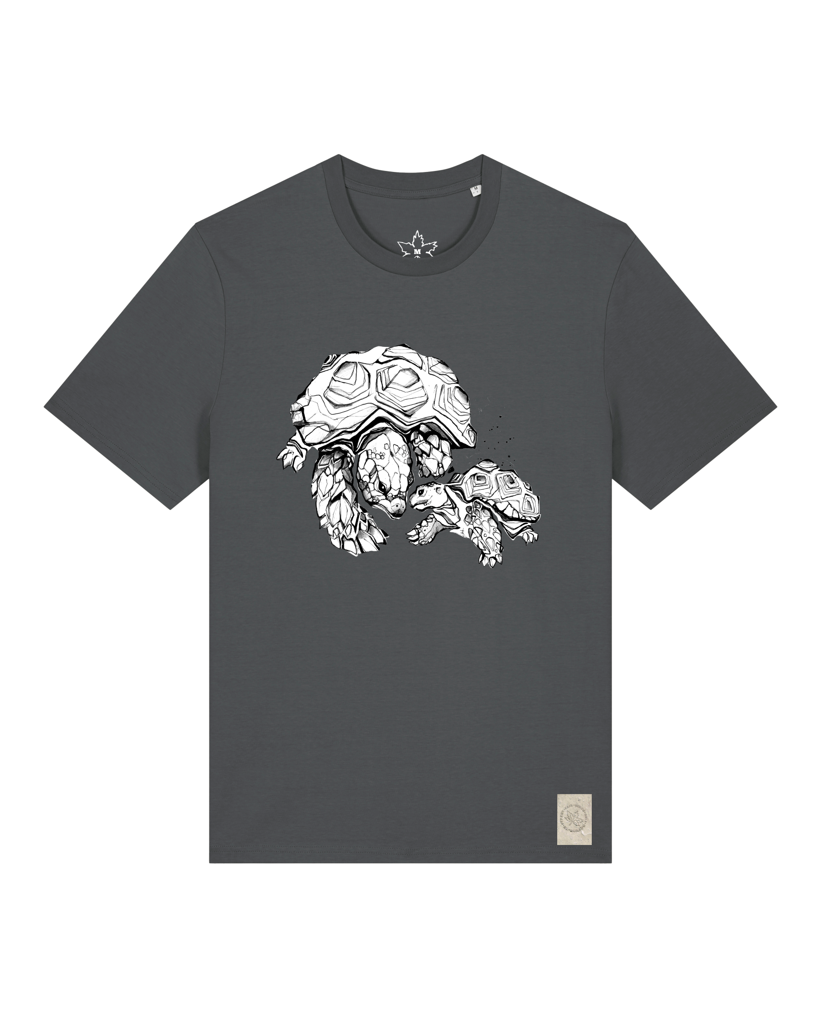 bio-unisex-medium fit-tshirt-schildkrötis-sttu169-eisen-front