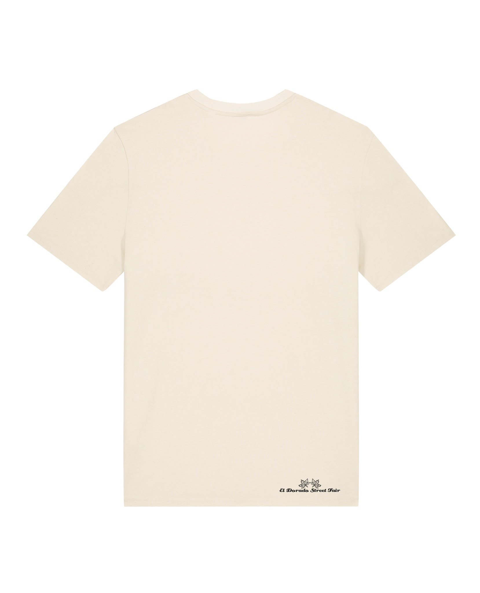 bio-unisex-medium fit-tshirt-schildkrötis-sttu169-natur-back