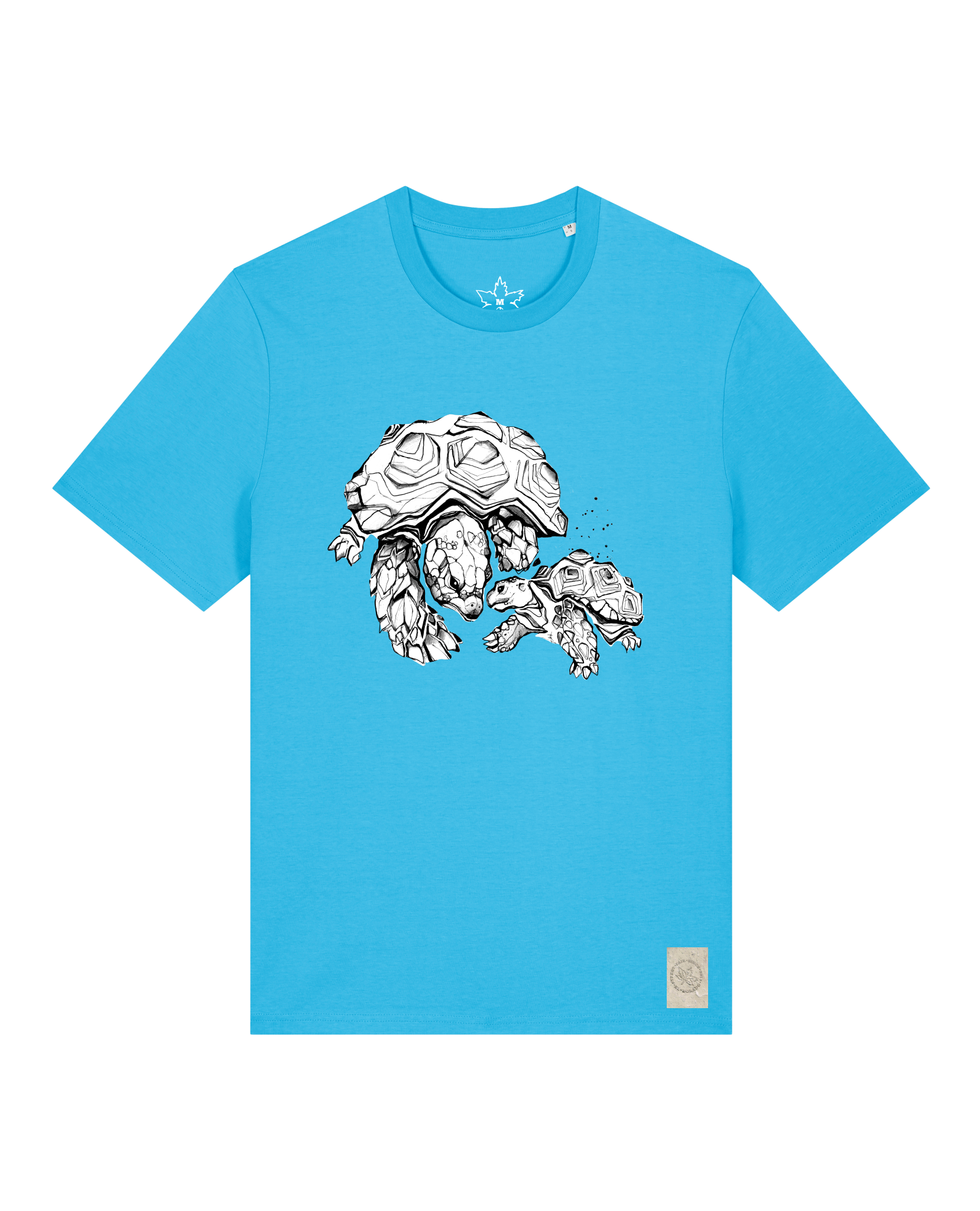 bio-unisex-medium fit-tshirt-schildkrötis-sttu169-wasserblau-front