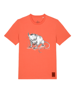 bio-unisex-medium fit-tshirt-solenodon-sttu169-mandarine-front