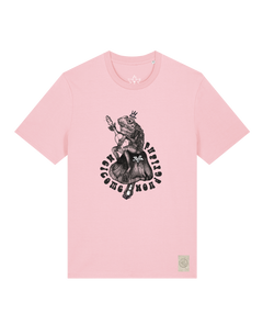 bio-unisex-medium fit-tshirt-wonderland-sttu169-flamingo-front