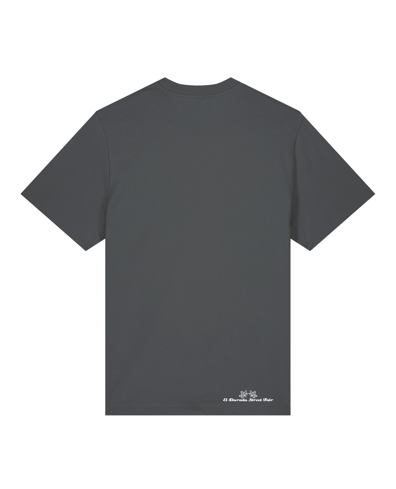 bio-unisex-relaxed fit-tshirt-basic-sttu171-eisen-back