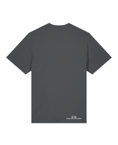 bio-unisex-relaxed fit-tshirt-basic-sttu171-eisen-back