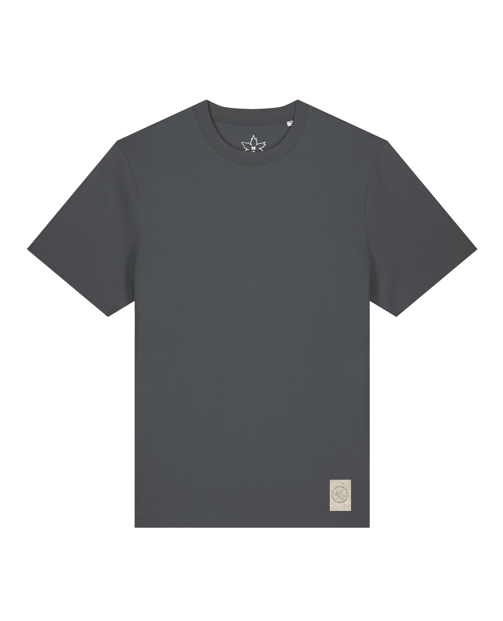 bio-unisex-relaxed fit-tshirt-basic-sttu171-eisen-front